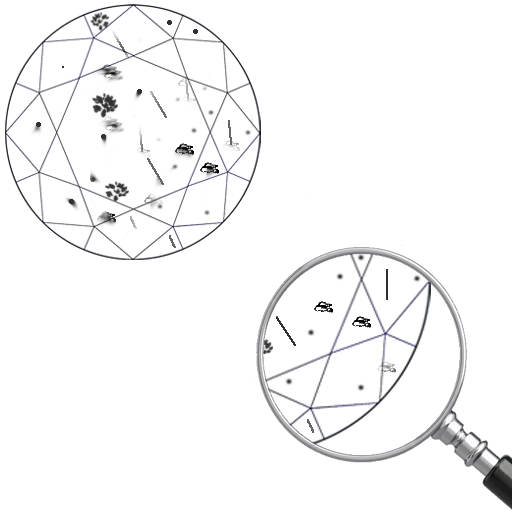 Type 1 I3 clarity gemstone